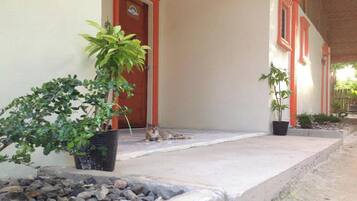 A building with a red door and windows, a cat lying on the porch, and potted plants.