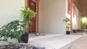 A building with a red door and windows, a cat lying on the porch, and potted plants. - Casa Paliton Siquijor Near Beach By Zuzu (San Juan)
