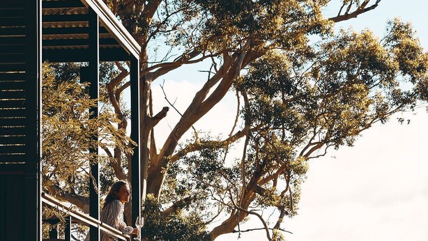 A modern building with a staircase leading to a balcony, surrounded by large rocks and a tree. - Heyscape (Ocean Beach)