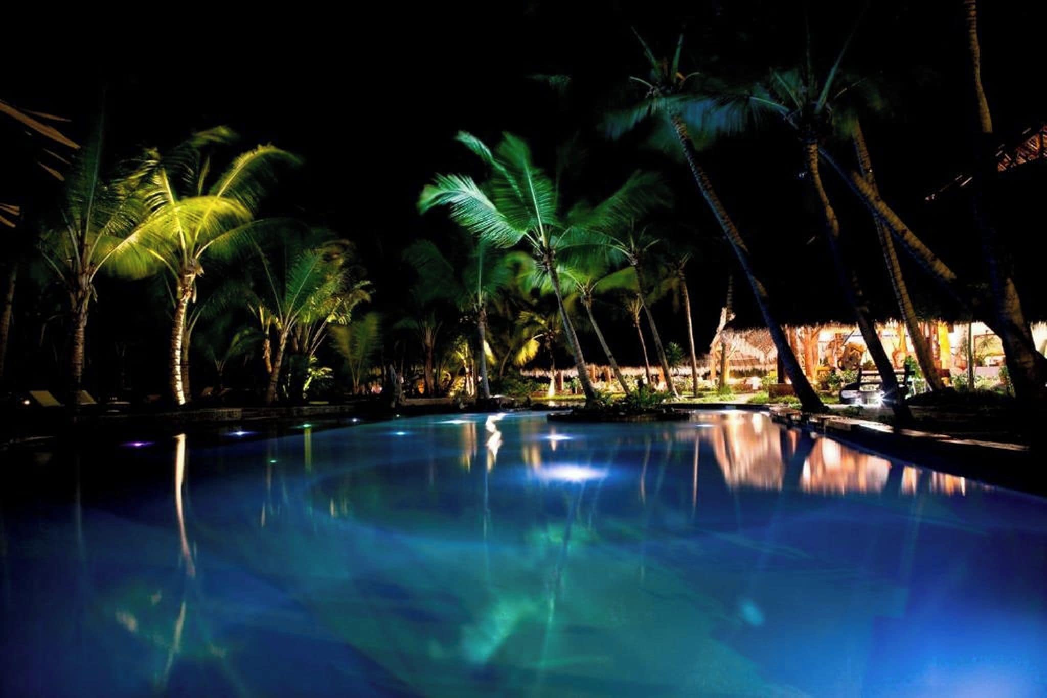 Un espace piscine illuminé la nuit, agrémenté de palmiers et où les lumières se reflètent sur l’eau.