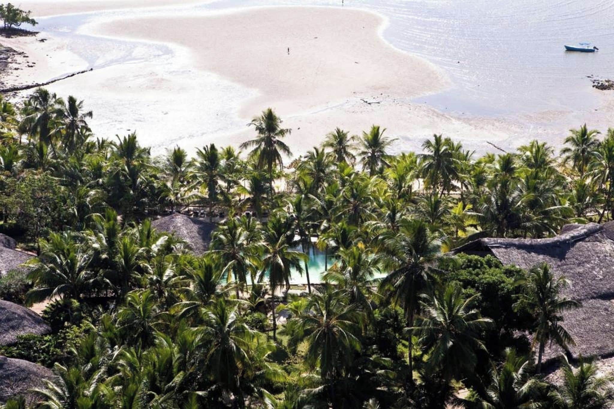 Une plage bordée de palmiers, offrant une vue dégagée sur l’océan.