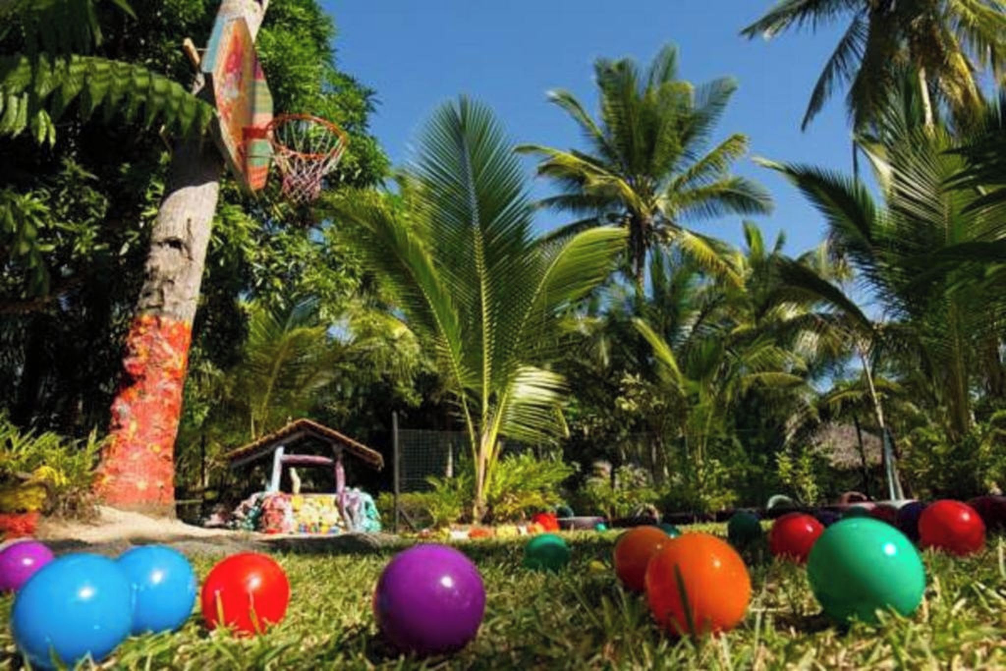 Uma área externa tropical com um aro de basquete, balões coloridos e palmeiras.