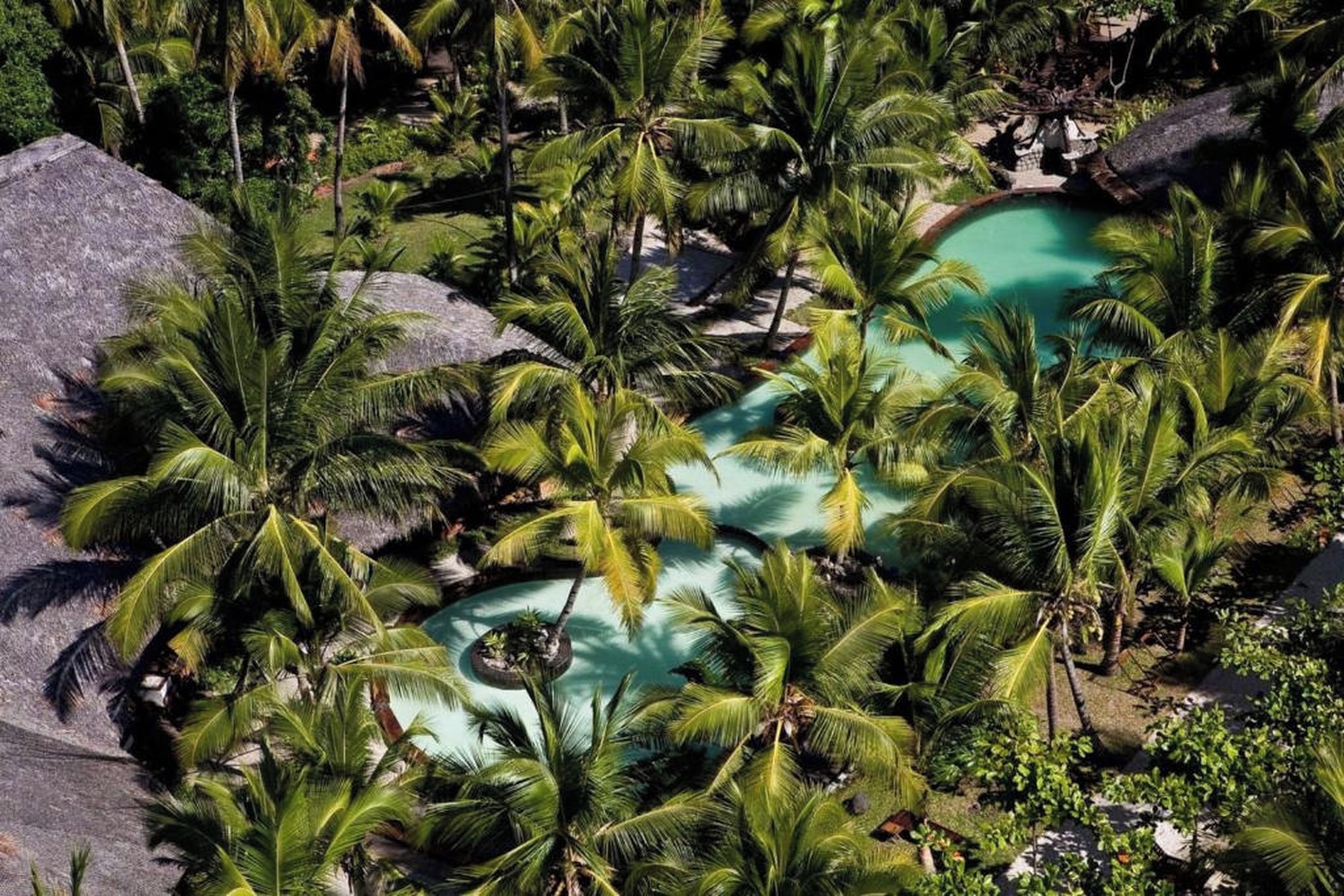 Een tropisch resort met meerdere zwembaden, omringd door palmbomen.