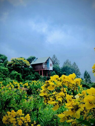 La Seran Eco Resort - Ella