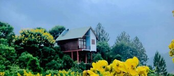 La Seran Eco Resort - Ella