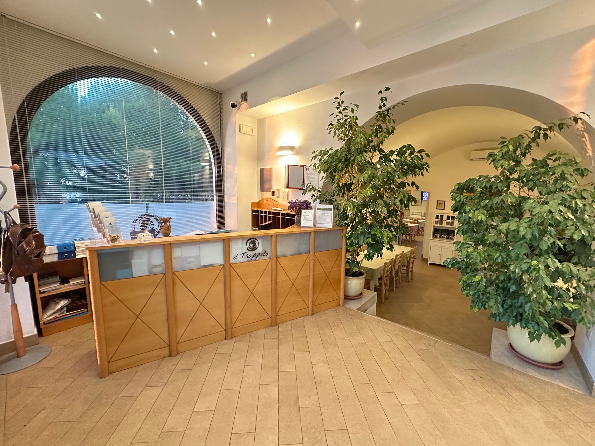 Un espace d’accueil avec un comptoir en bois, une grande fenêtre et des plantes en pot.