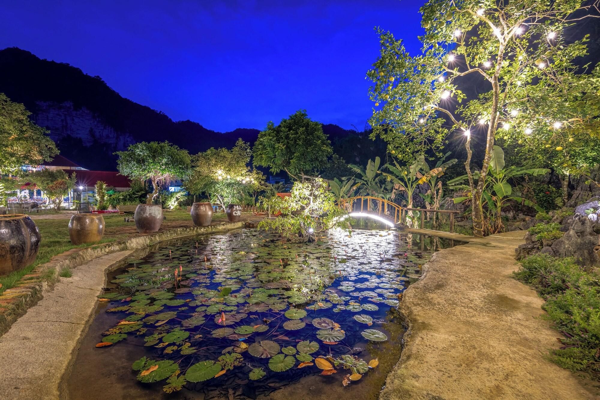 A nighttime garden with a pond, illuminated plants, and a wooden bridge.
