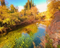 Vista da propriedade