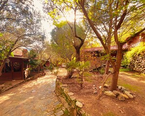 Pemandangan dari properti