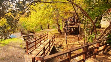 Pemandangan dari hartanah