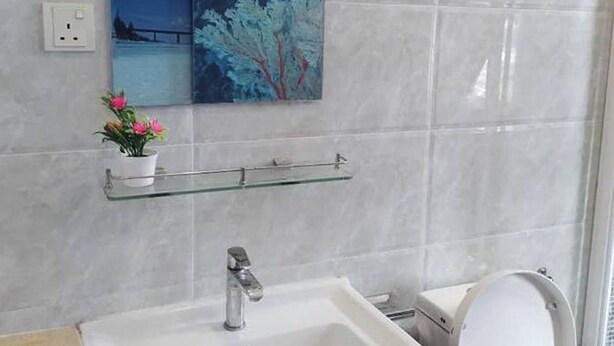 A bathroom with a white sink, a glass shelf with a potted plant, and a painting of a landscape on the wall. - Abc Hostel By Zuzu (Seri Kembangan)