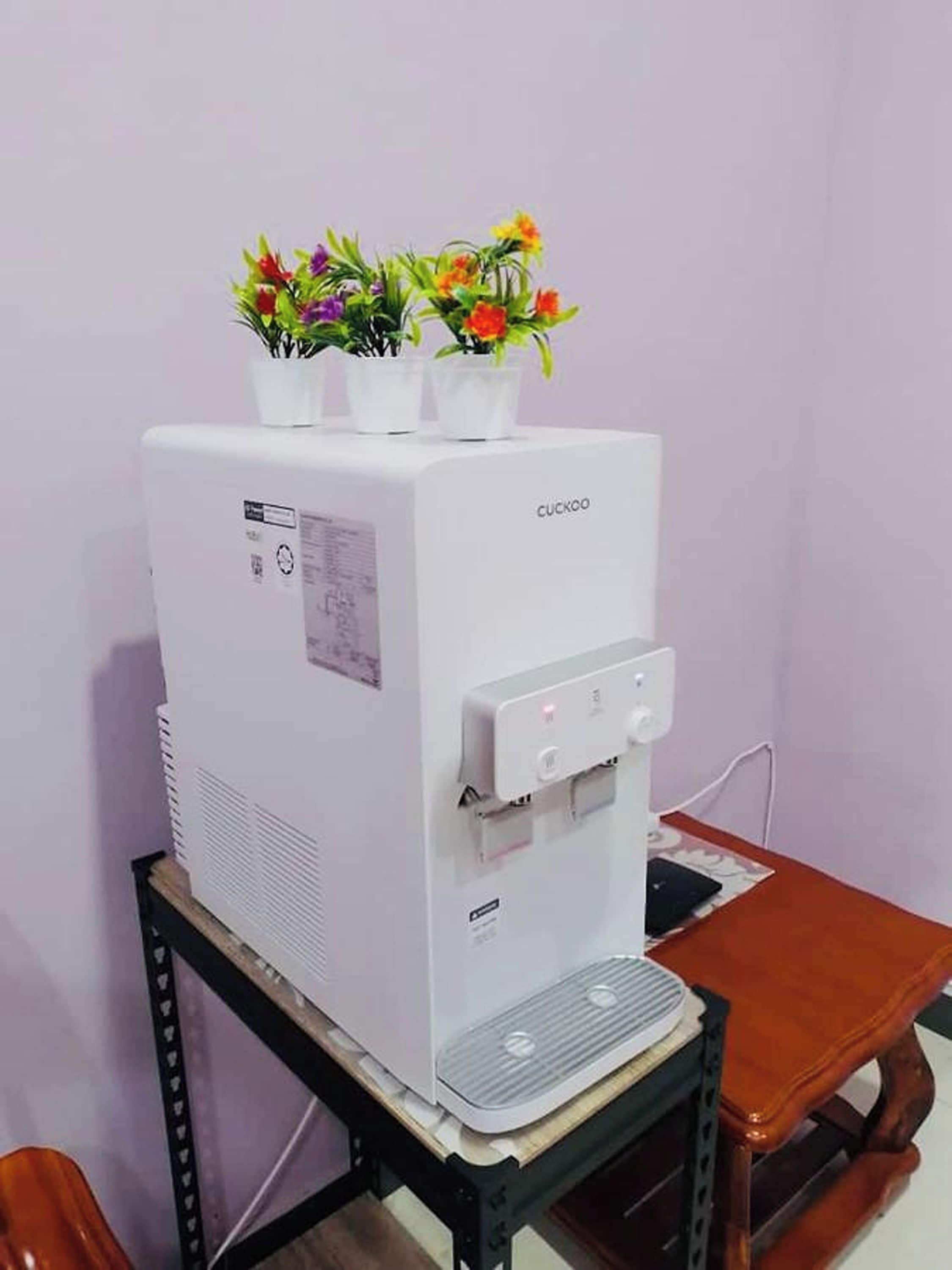 A water dispenser on a table with a chair, a small potted plant, and a wall in the background.