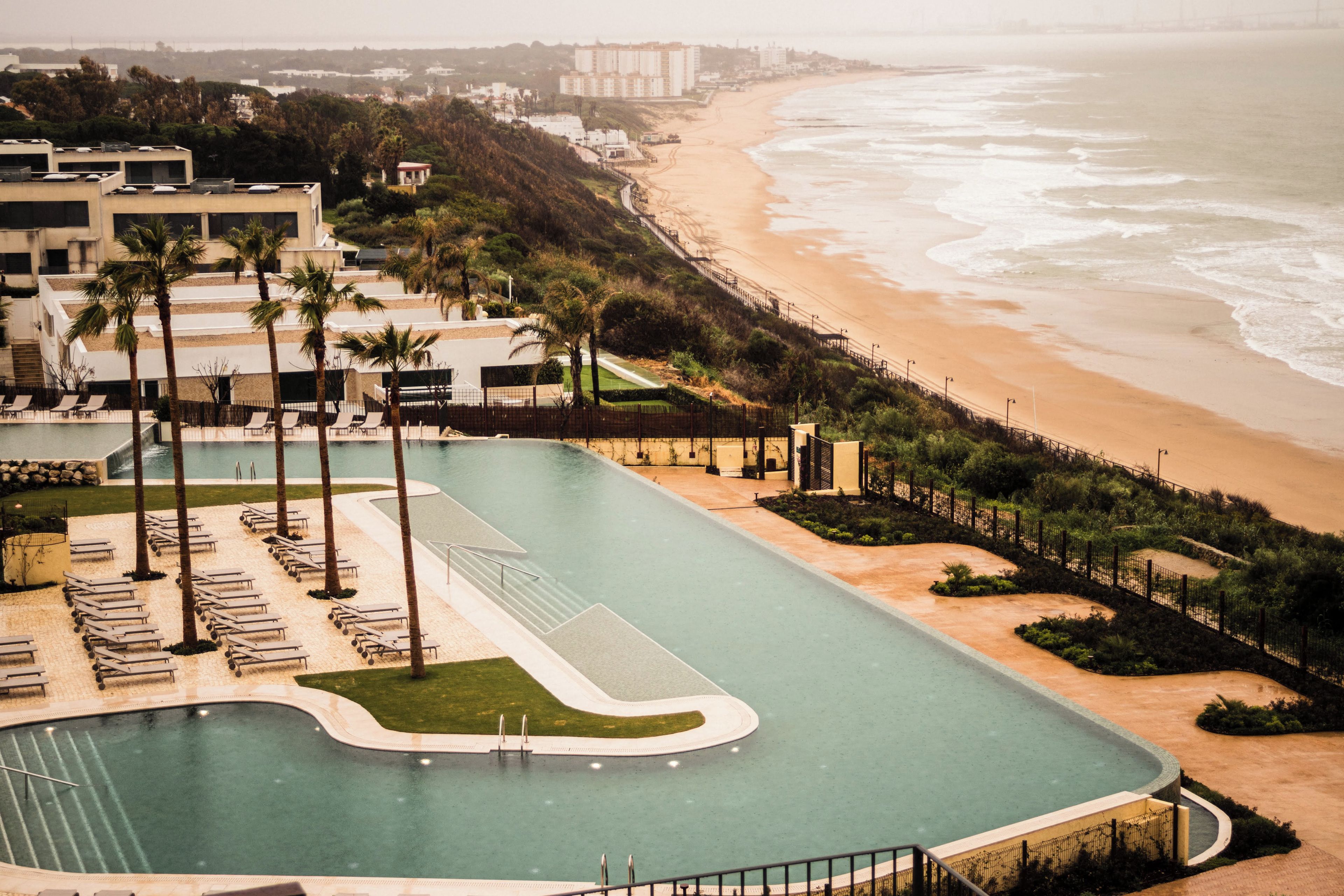 Una piscina de diseño curvo, rodeada de palmeras y sillas de descanso, contigua a una playa con arena y olas del océano.