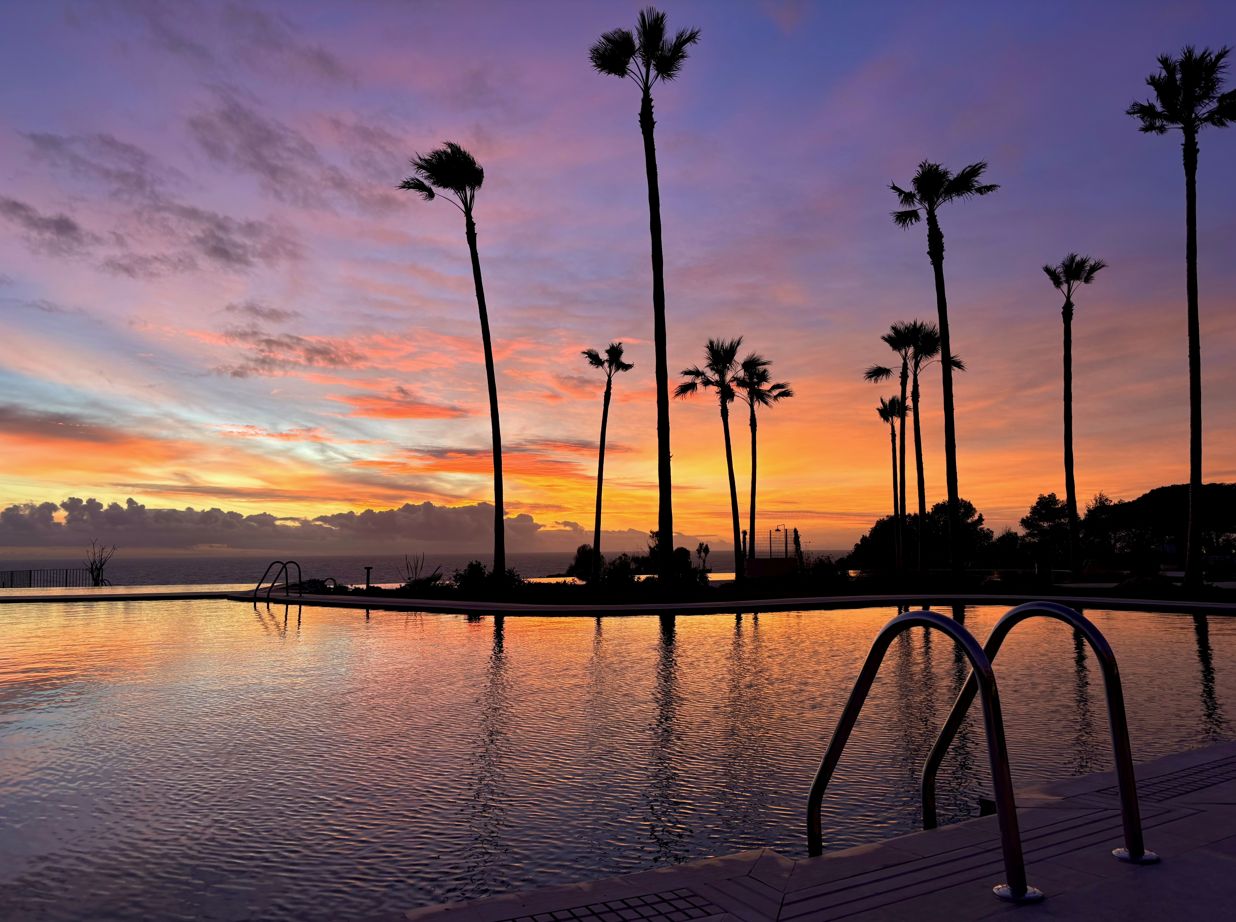A swimming pool with palm trees and a sunset.