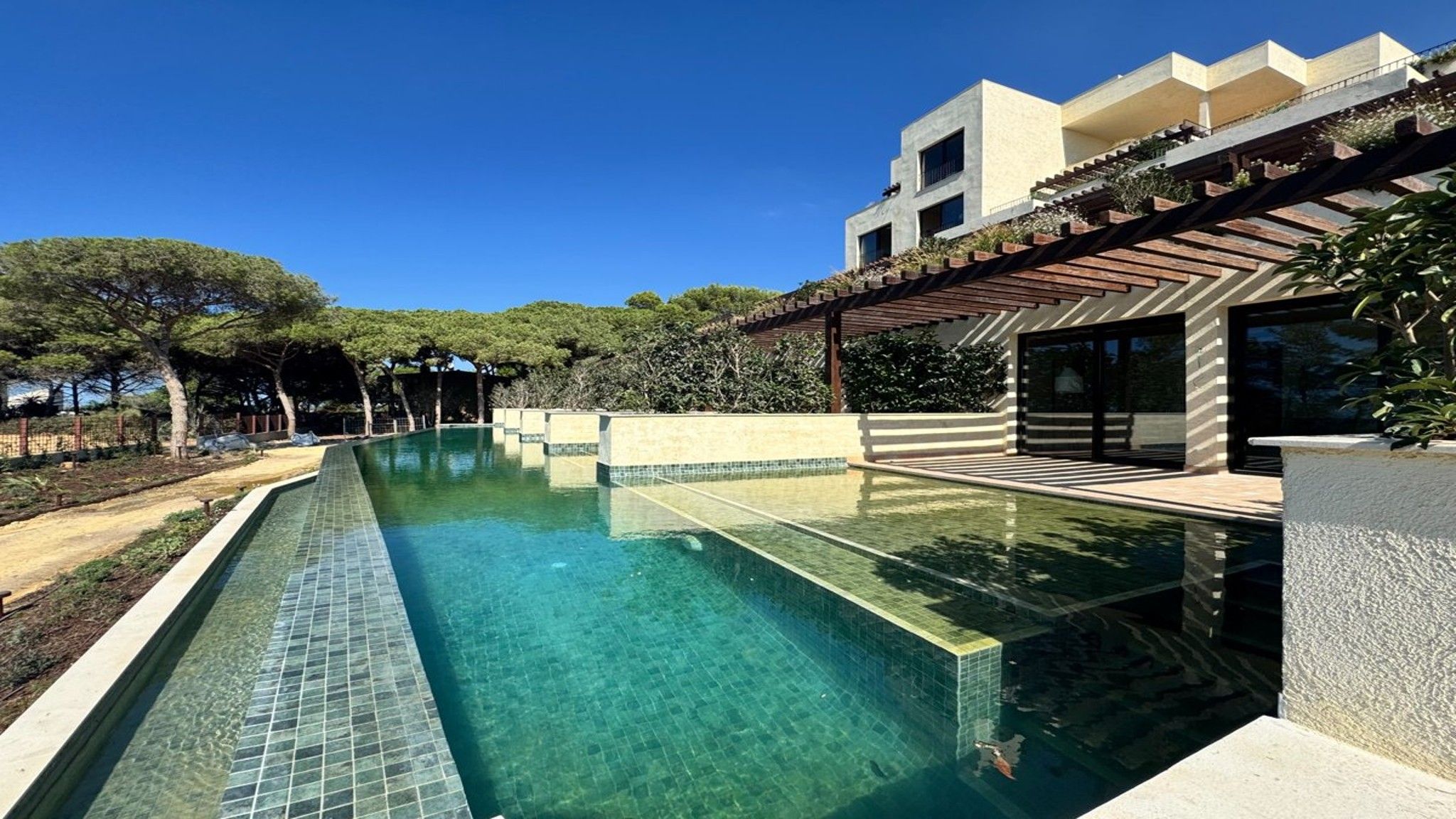 Ein moderner Poolbereich mit klarem Wasser, umgeben von einem angelegten Garten und einem zeitgemäßen Gebäude mit großen Fenstern.