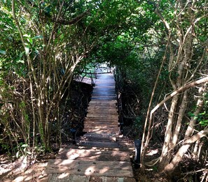 الإطلالة من المنشأة