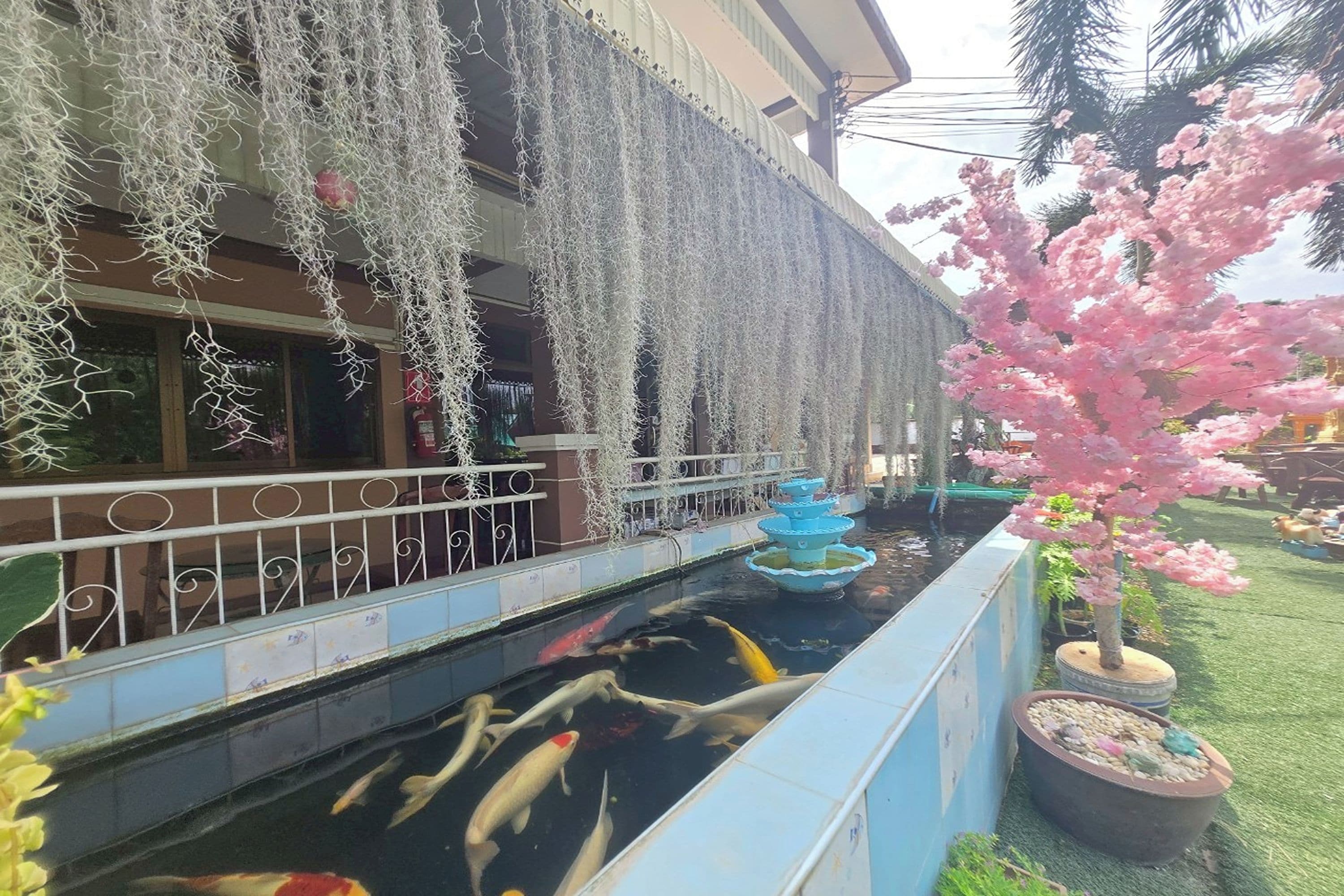 A koi pond with a fountain, surrounded by a building with a balcony and decorative hanging elements.