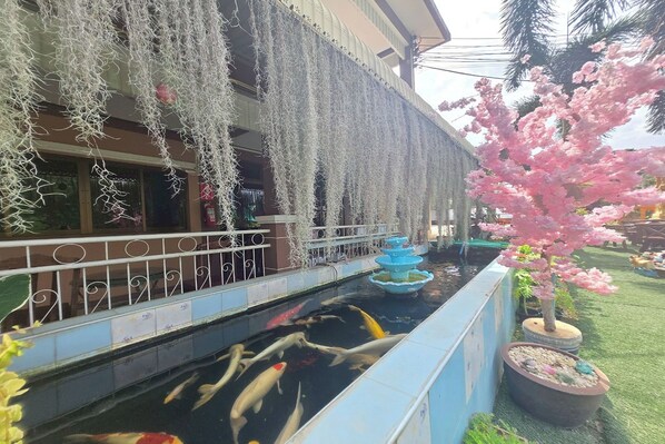 A koi pond with a fountain, surrounded by a building with a balcony and decorative hanging elements.