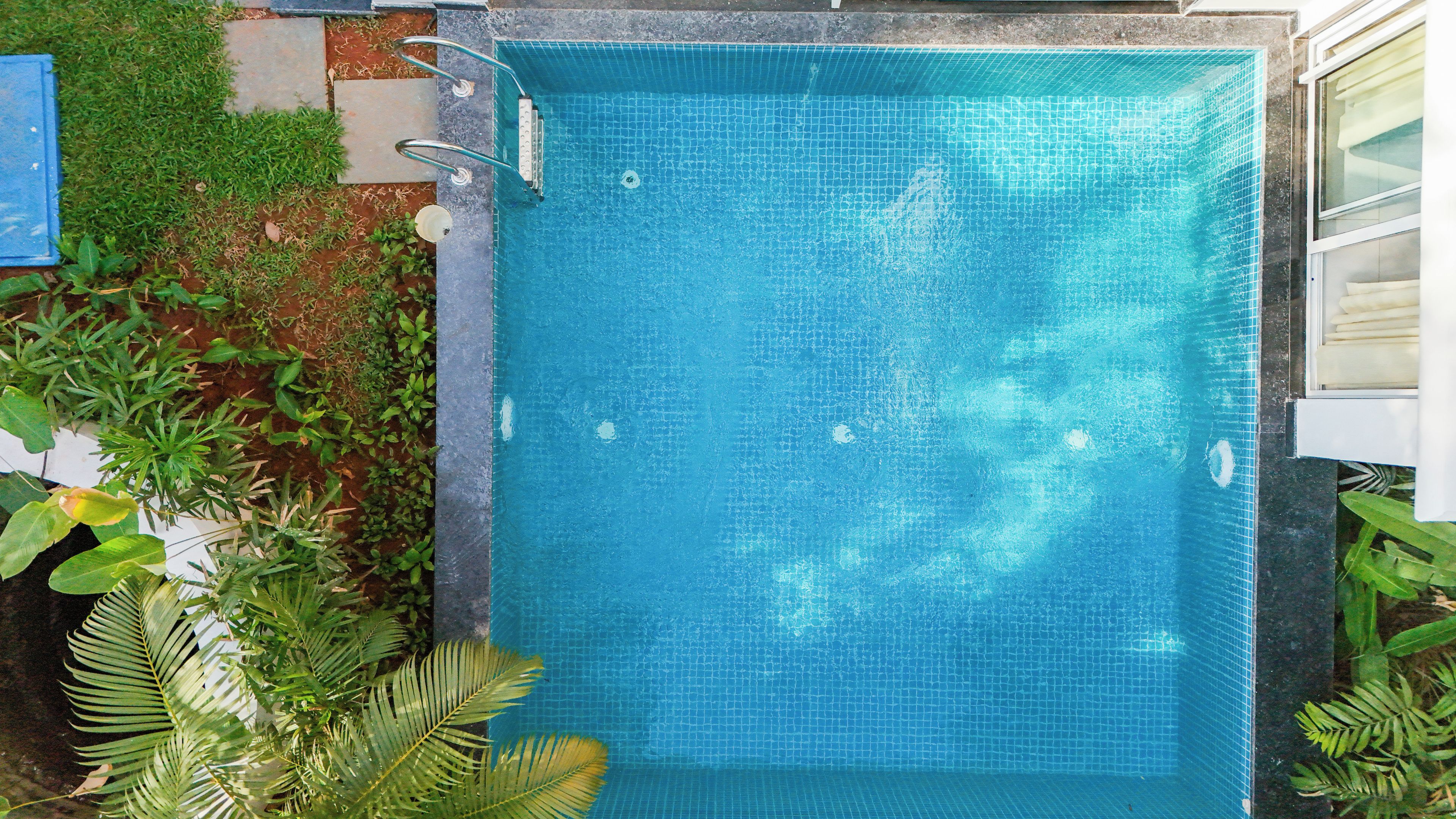 Ein rechteckiger Pool mit Fliesen, umgeben von Grünpflanzen und einer Steinumrandung.