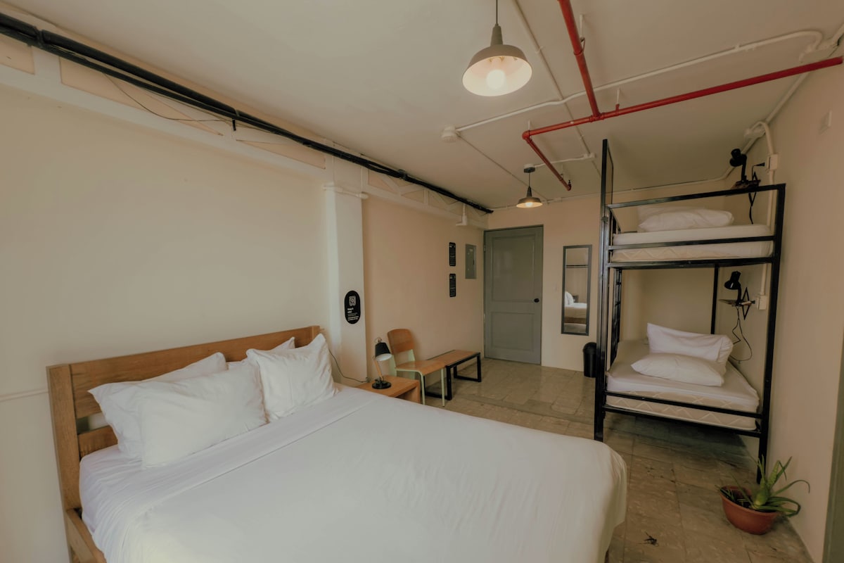 Una habitación de hotel con una cama individual, una cama litera, un escritorio, una silla y una planta en maceta.