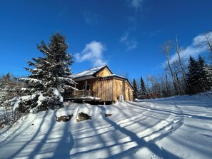 Exterior - Cozy and peaceful cabin in the Woods just a short drive to adventure (Grey Highlands)