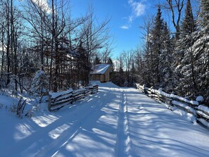 Property grounds - Cozy and peaceful cabin in the Woods just a short drive to adventure (Grey Highlands)