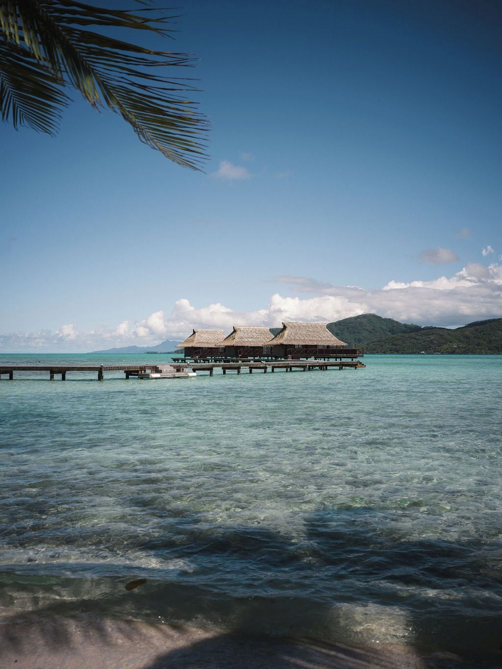 파노라믹 방갈로, 석호 전망, 수상 | 객실 내 금고, 책상, 다리미/다리미판, 무료 WiFi