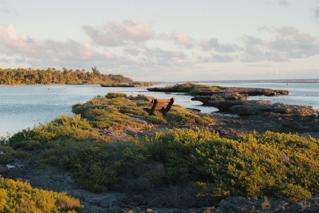 A coastal landscape with a wooden bench overlooking the water, surrounded by lush greenery and rocks.