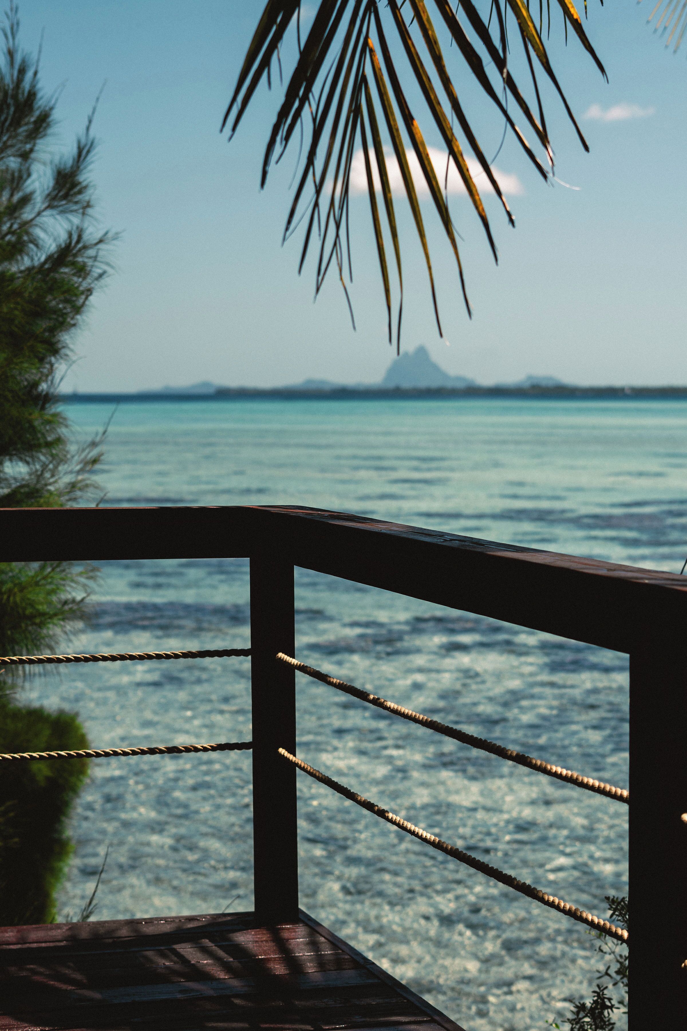 房內夾萬、書桌、熨斗/熨衫板、免費 Wi-Fi