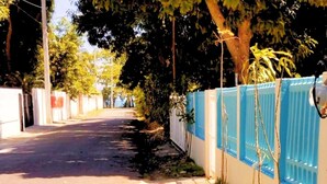 Une rue étroite, avec une clôture bleue d’un côté et des arbres de l’autre.