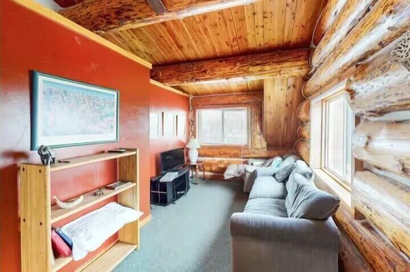 تلفزيون، مدفأة