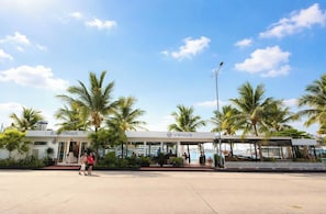 A building with 'Bona Cruises' and 'Venus' signs, palm trees, and a clear sky. - Diana Cruises Halong Bay - Luxury by Venus Group (Ha Long)