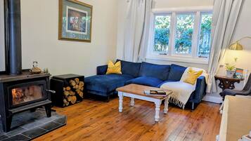 Smart TV, fireplace, books