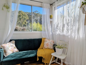 TV connectée, cheminée, livres