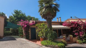 A courtyard with a palm tree, potted plants, and a covered seating area. - Casa dei Fiori - Goelba (Portoferraio)