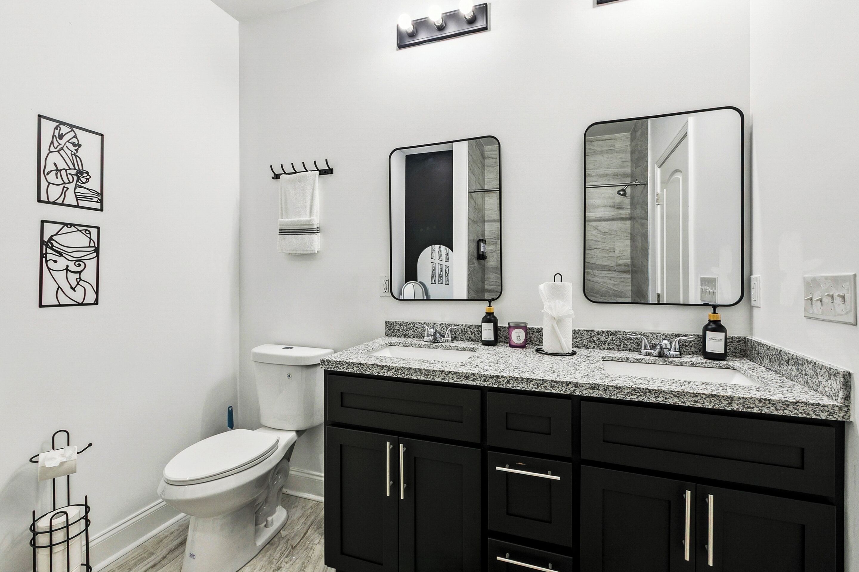 Hair dryer, towels, soap, toilet paper