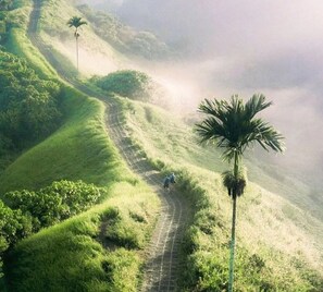 Miscellaneous - Lux 2BR Villa-Pool & Amazing Rice Field Views-Ubud (Ubud)