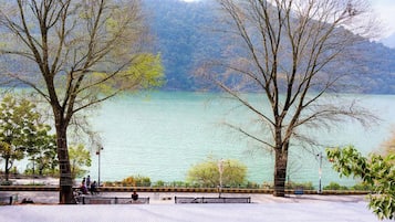 Lake view