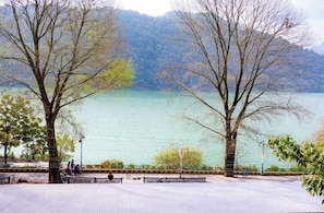Lake view