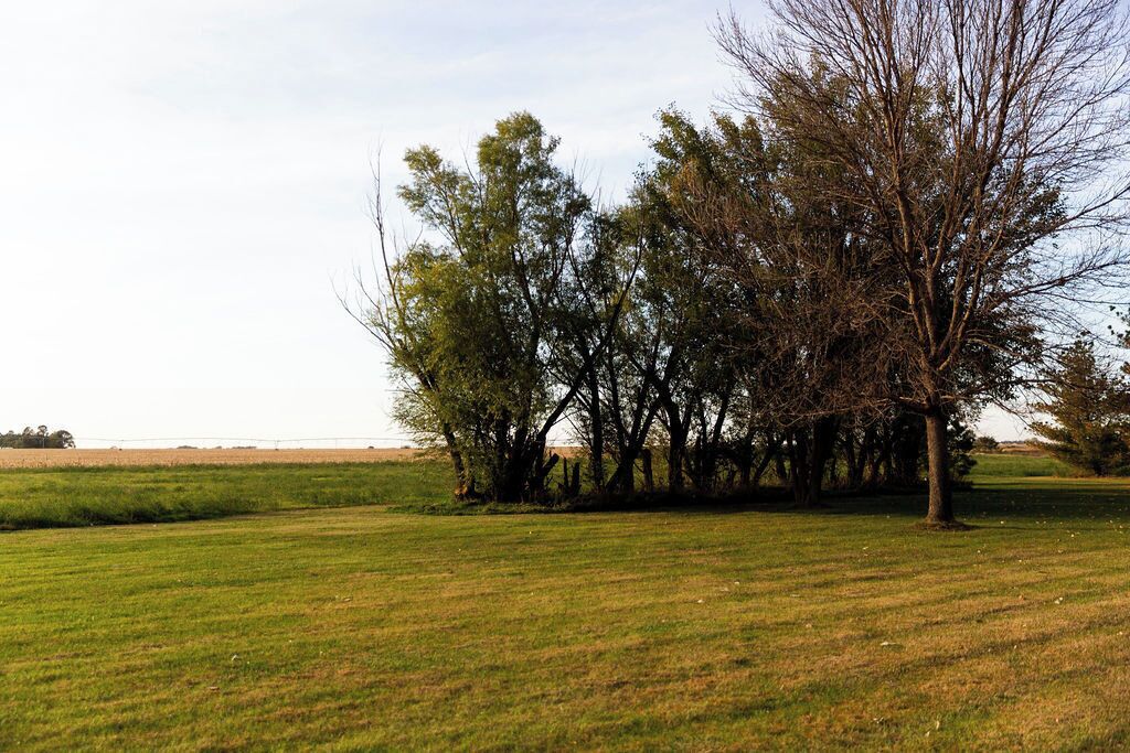 Ein grasbewachsenes Feld mit einer Baumgruppe und einem Zaun im Hintergrund.