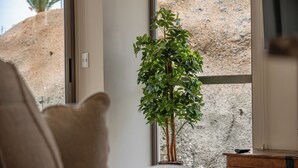 Immagine non classificata, 3 di 21, pulsante