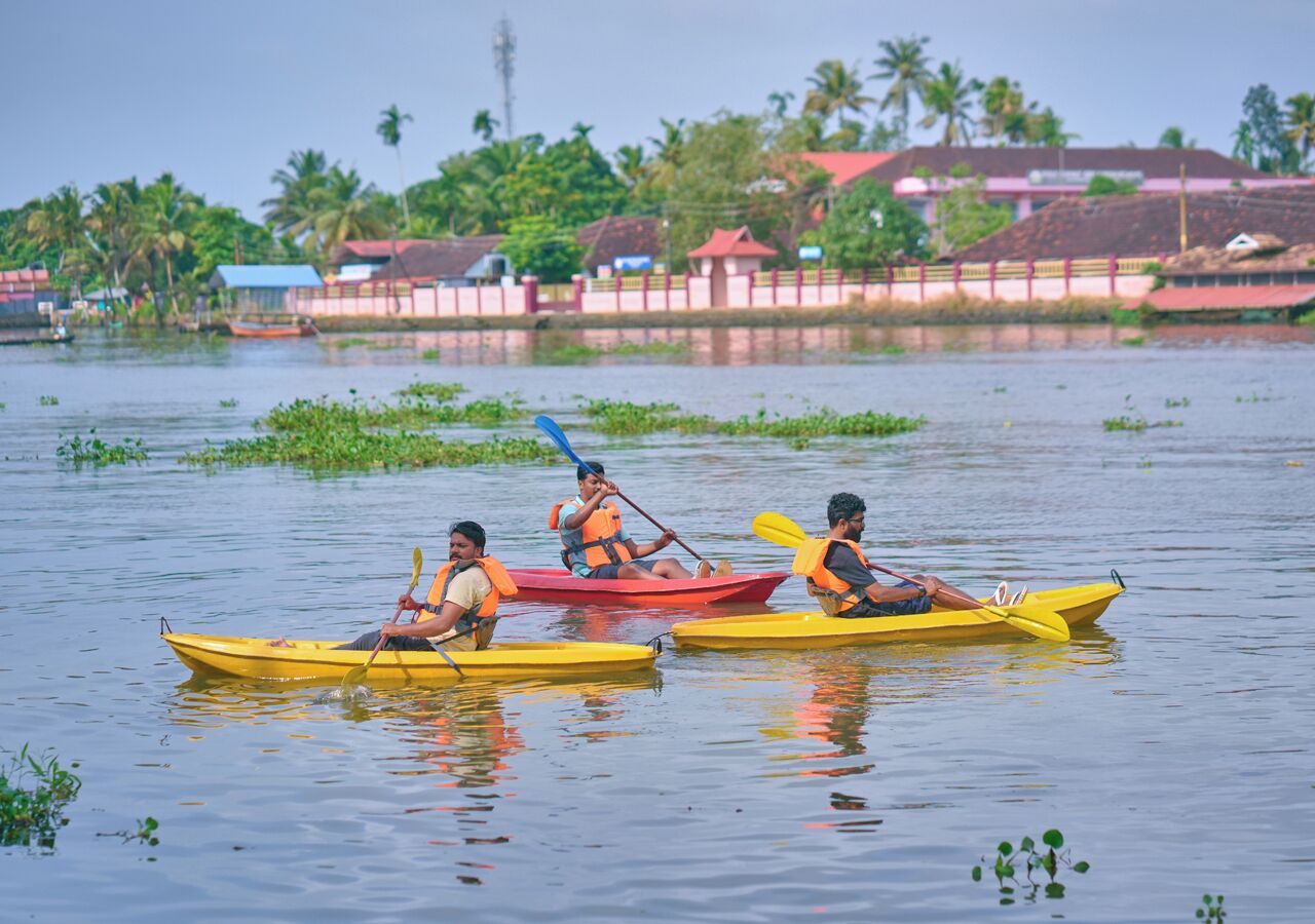 Three people in yellow kayaks on a calm body of water with greenery and buildings in the background.