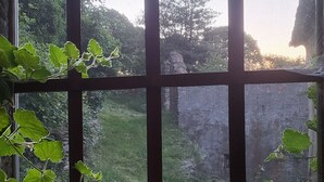 A window with a view of a garden and a tree. - THE CHESTNUT TREE HOUSE (Cassagnoles)