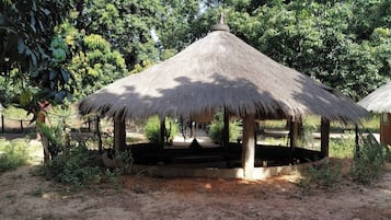 House, 4 Bedrooms, Accessible, Smoking | Property grounds