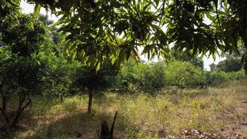 Huis, 4 slaapkamers, toegankelijk voor mindervaliden, roken | Exterieur