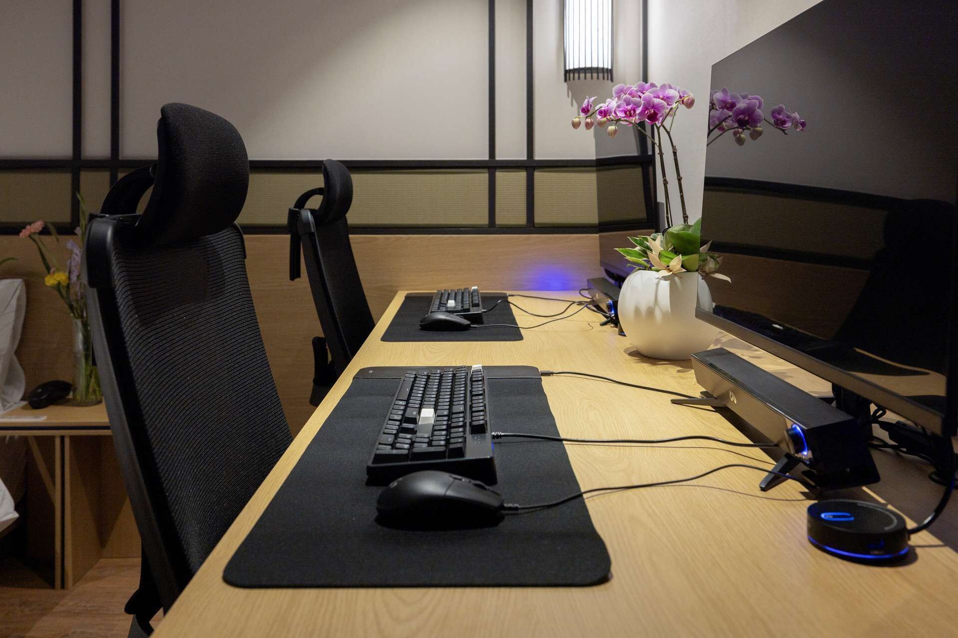A workspace with a desk, computer, keyboard, mouse, and monitor. There are two chairs, a vase with flowers, and a plant on the desk.