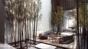 Ein modernes Interieur mit minimalistischem Design, das eine Sitzecke mit Sofa und Sesseln beinhaltet, umgeben von hoch aufragenden Bambuspflanzen.