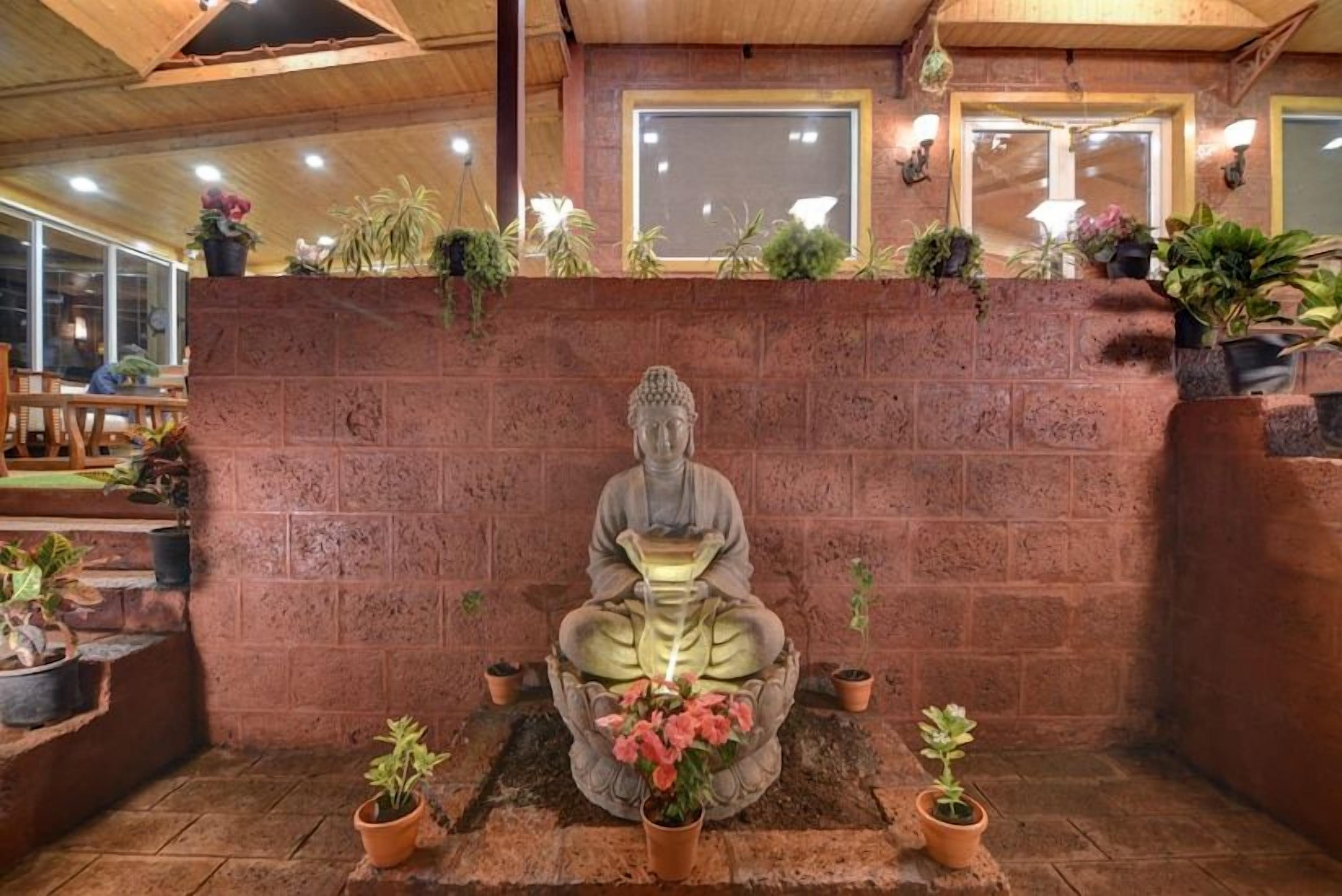 Una statua del Buddha seduto su un cuscino, circondata da piante in vaso.