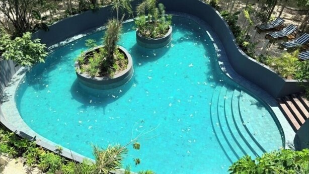 A circular pool with a curved edge, surrounded by lush greenery and palm trees. - Chic and cozy 1-bedroom apartment with fuil bad,  AC ,TV and free WIFI (Tulum)