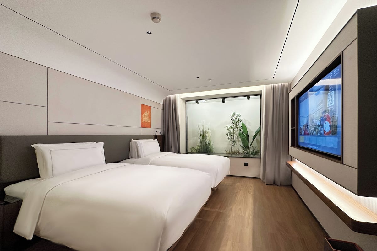 Une chambre d’hôtel avec deux lits, une grande fenêtre avec des rideaux, un téléviseur fixé au mur et une petite plante sur le rebord de la fenêtre.